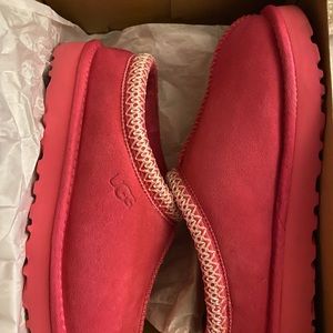 Taffy pink women Tasman uggs slippers